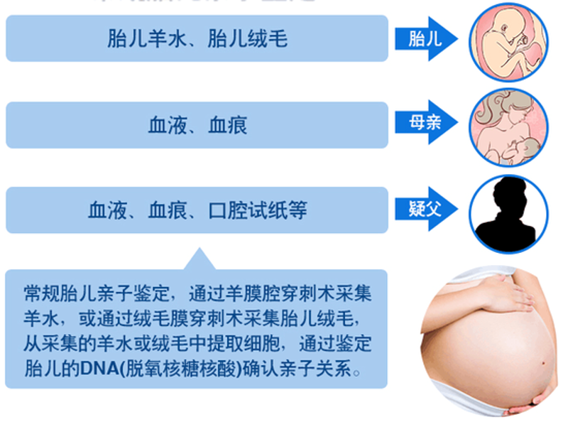 胎儿DNA亲子鉴定