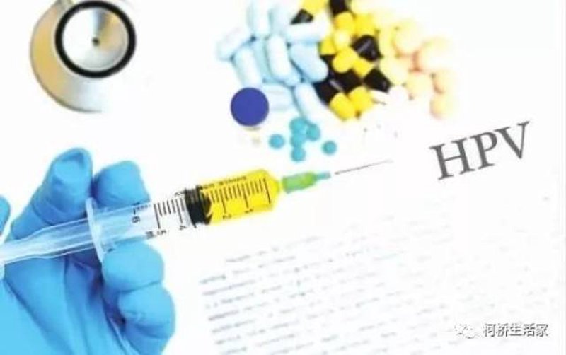 Y染色体验血:探索生物科学研究前沿